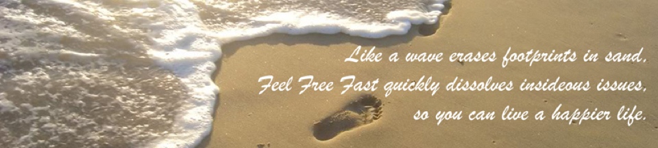 Feel Free Fast